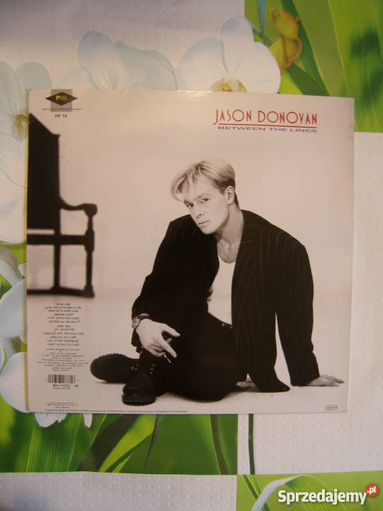 Jason Donovan Between The Lines 1 lp płyta winylowa sprzedam