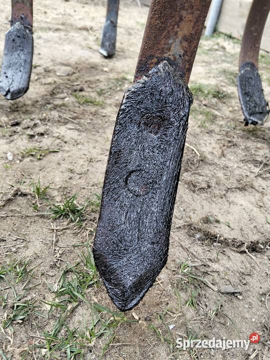 Sprzedam kultywator Grudziądz 210 Huta Koszary