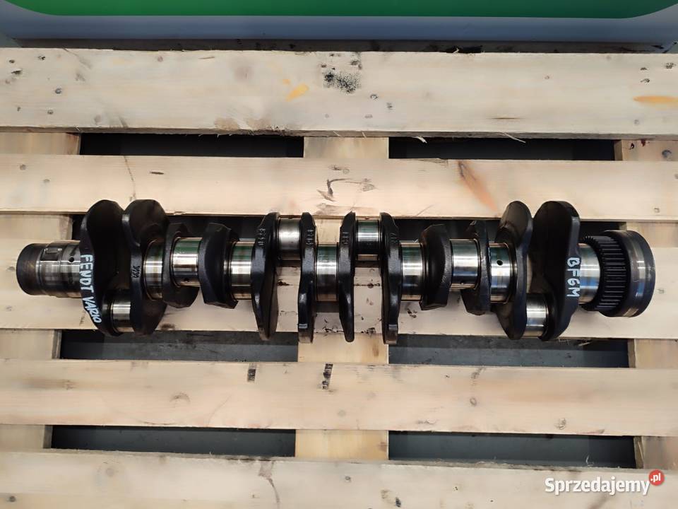 Wał korbowy Fendt Vario BF6M 2013 F717200210010 Wilkowo