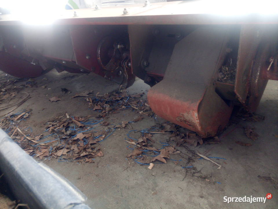 Podcinacz do hederu Klonowa sprzedam