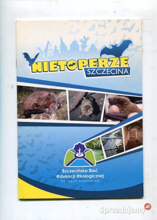 Nietoperze Szczecina Szczecin