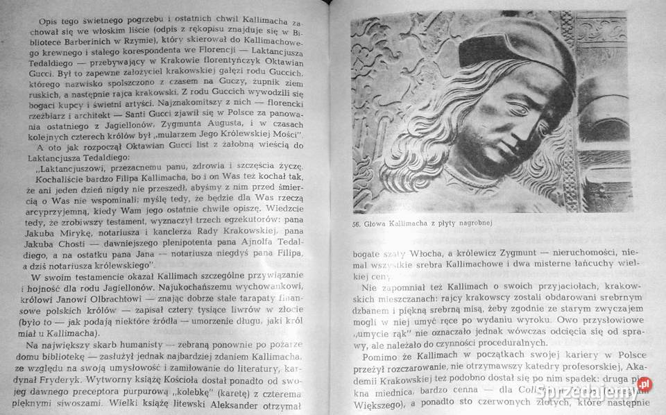 Kallimach doświadczony Joanna Olkiewicz Chełm