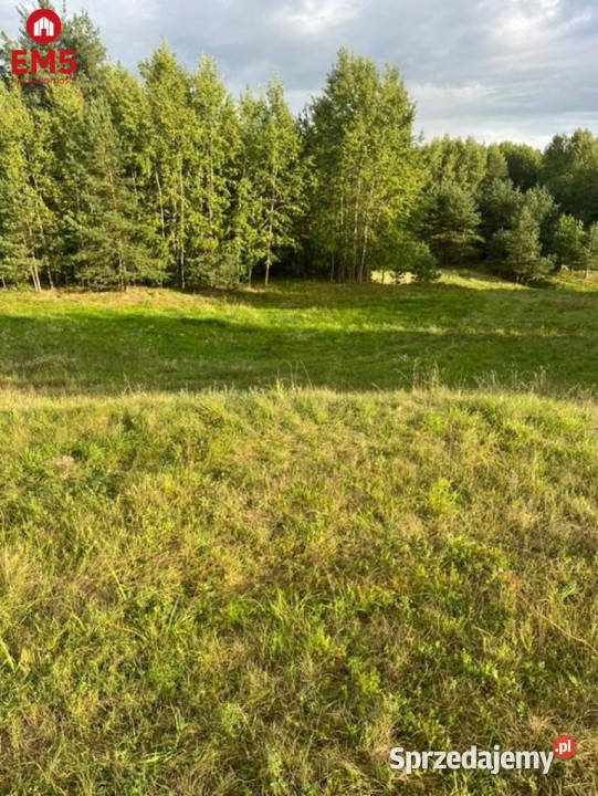 Działka 282216m2 Hołny Wolmera