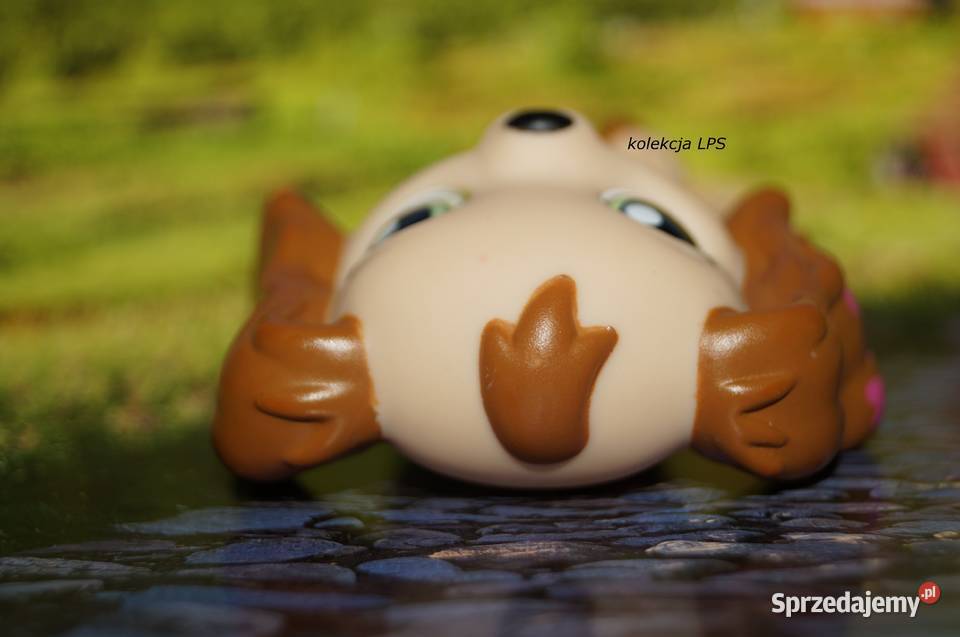 LPS Littlest Pet Shop spaniel 1963 oryginalny