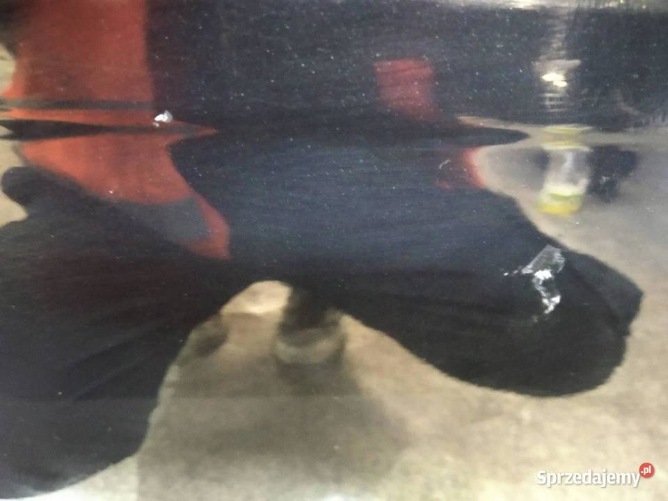 DRZWI LEWE TYŁ 5D HB FB Ford Focus Mk3 20102019