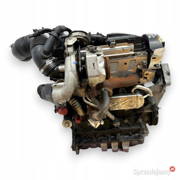 SILNIK CAY VW Golf VI Polo V Touran II 1T Passat sprzedam