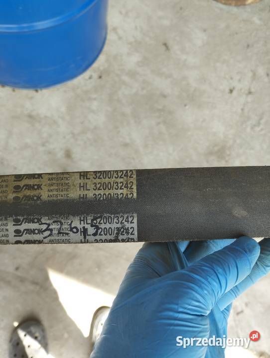 Pasek przyspieszacz napędu Holland bizon Rossosz