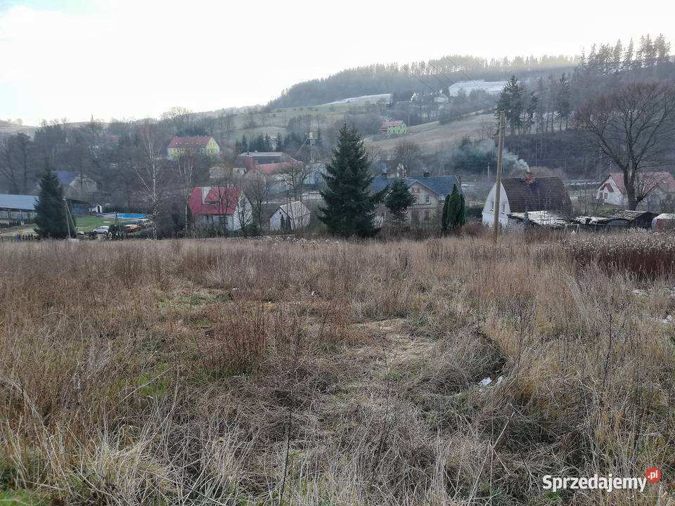 Działka budowlana w malowniczej dolinie Włodzicy budowlana Ludwikowice Kłodzkie