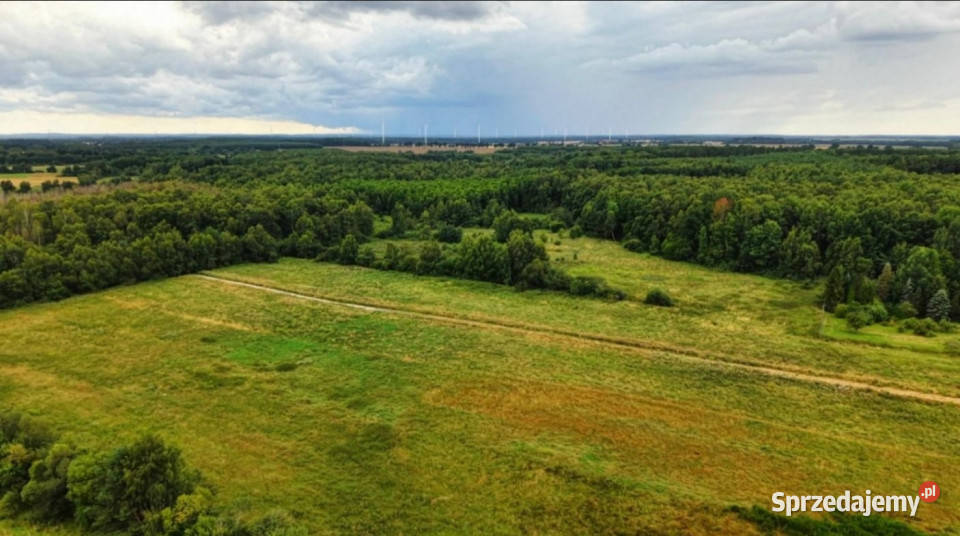 Działka budowlana 1560 m MPZP Sycewice k Słupska sprzedam