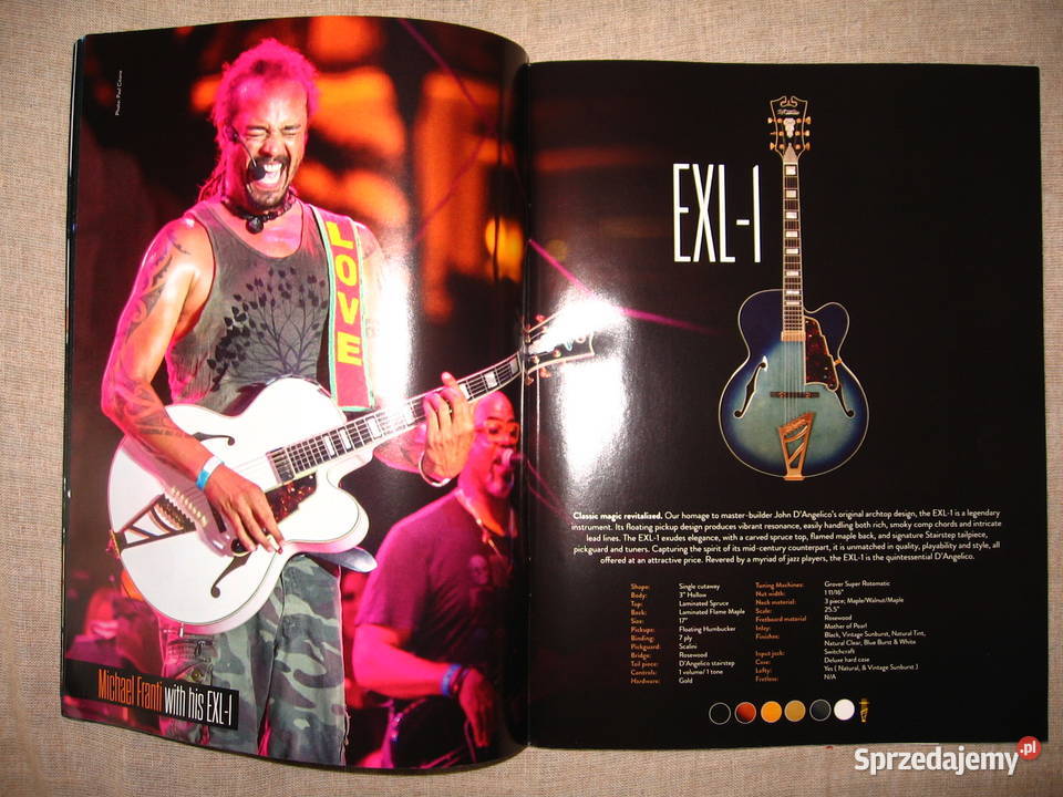 DAngelico 2016 katalog gitar Kępice