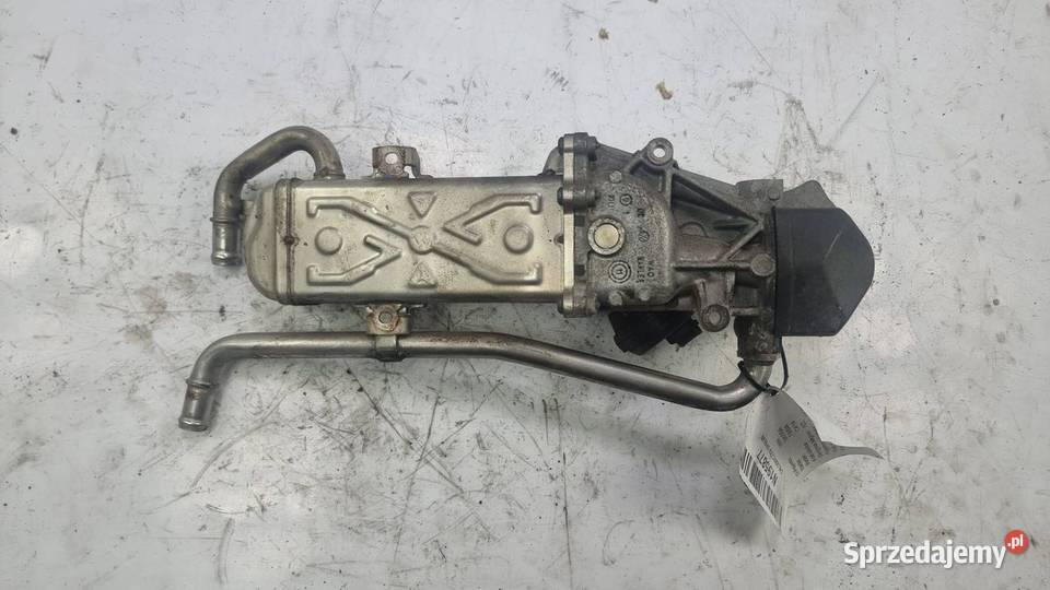CHŁODNICZKA SPALIN SKODA FABIA II 03L131512CE osobowe kujawsko-pomorskie