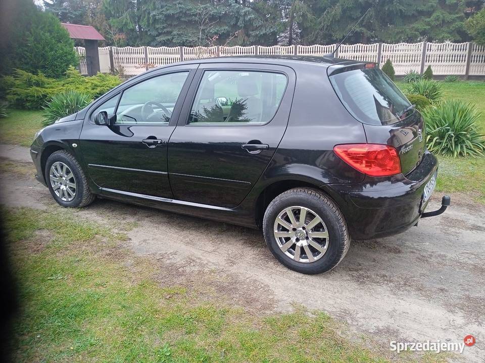 Peugeot 307 16 Benzyna160przebieg Super stan Łagów