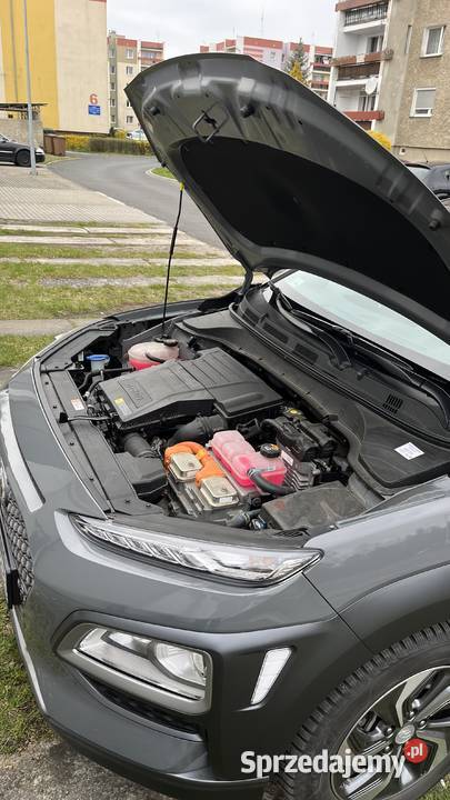 Hyundai Kona Hybrid wersja style Ozimek