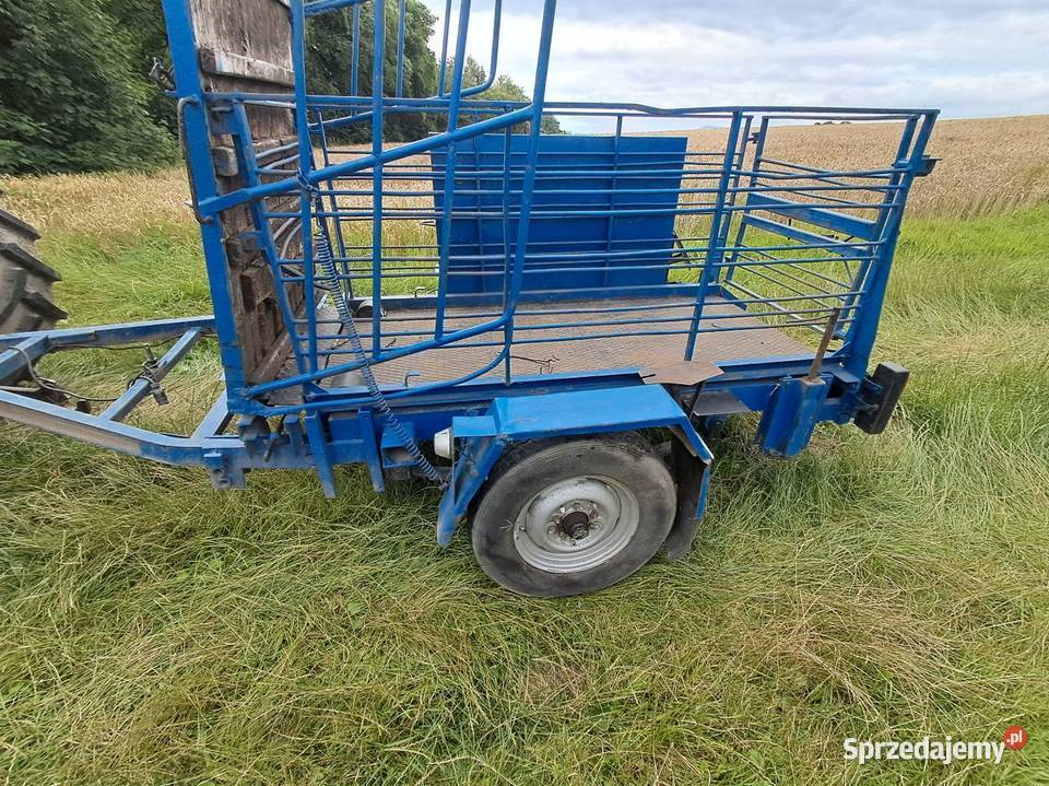 Waga mobilna bydła Kończyce Wielkie sprzedam