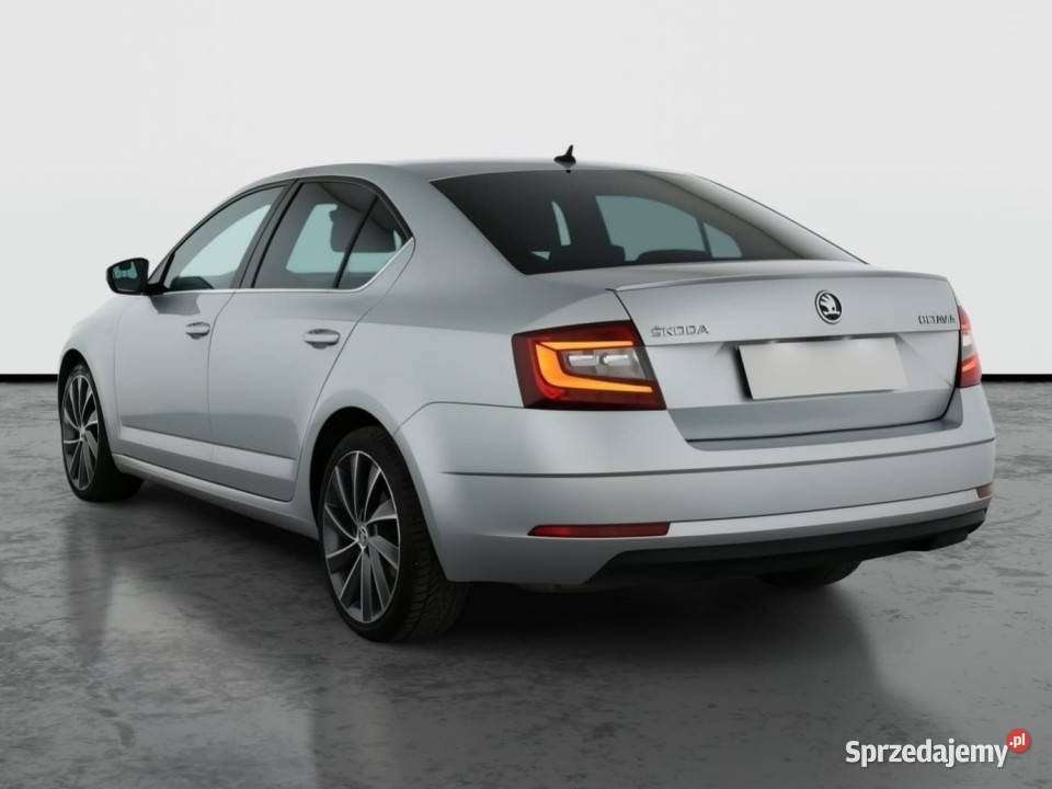 Skoda Octavia 20 TSI 1984cm3 Octavia mazowieckie