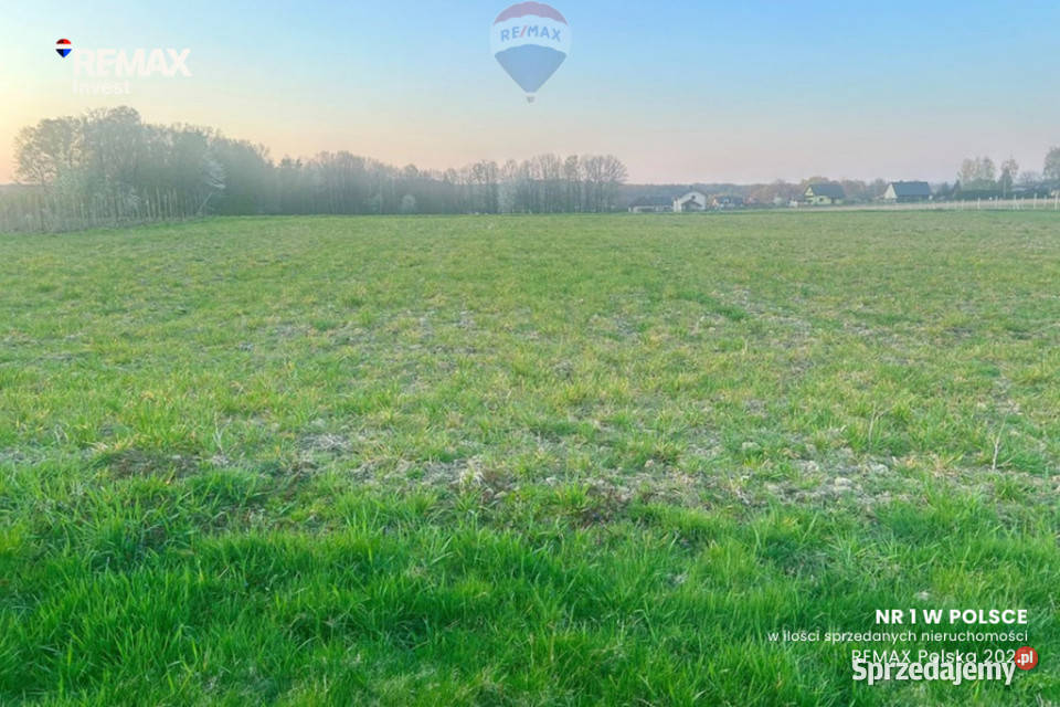 działka budowlanaPisarzowice budowlana Sprzedaż śląskie Pisarzowice