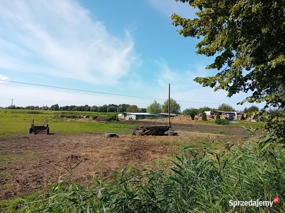 Syndyk sprzeda udziały w grunatach Żurawiec Jurandowo sprzedam