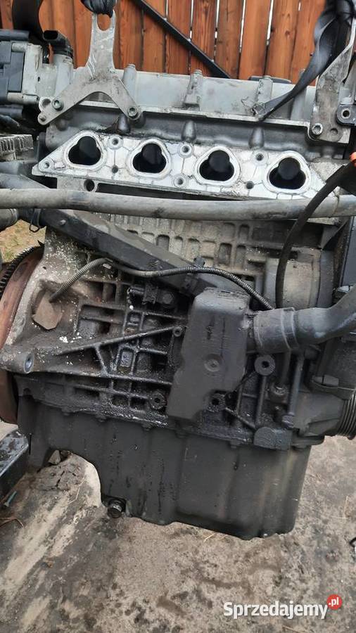 silnik 14 16V vw golf IV seat skoda AKQ osobowe dolnośląskie Dębno sprzedam