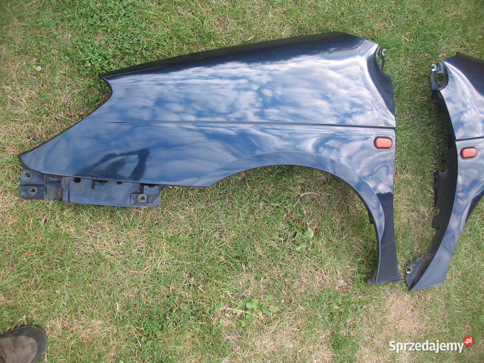 maska błotnik renault scenik I lift lubelskie Lublin