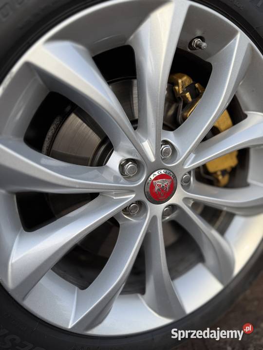 Biały Jaguar XF 2016 wyjątkowy egzemplarz śląskie Rybnik