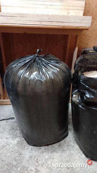 Trociny 120L suche bez pyłu z drewna suszarni sprzedam