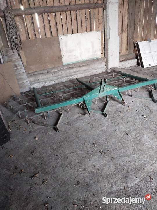 Brony trójki w stanie