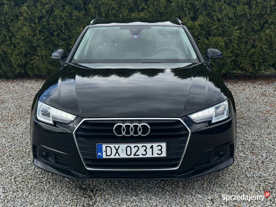 Audi A4 Audi A4 B9 20 TDI Bezwypadkowa serwisie Wrocław