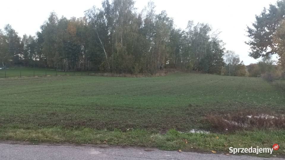 Sprzedam działkę budowlaną z laskiem sosnowym