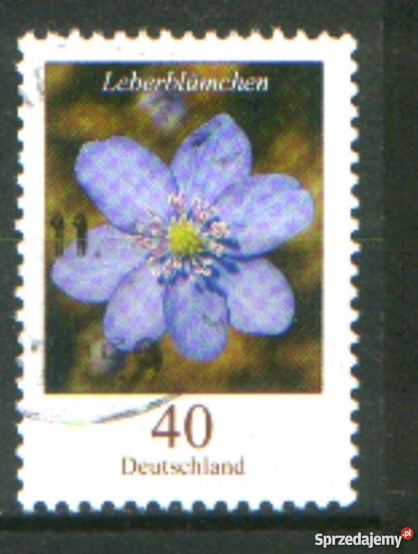 Zn RFN Mi 2484 5 kas 2005 Gliwice