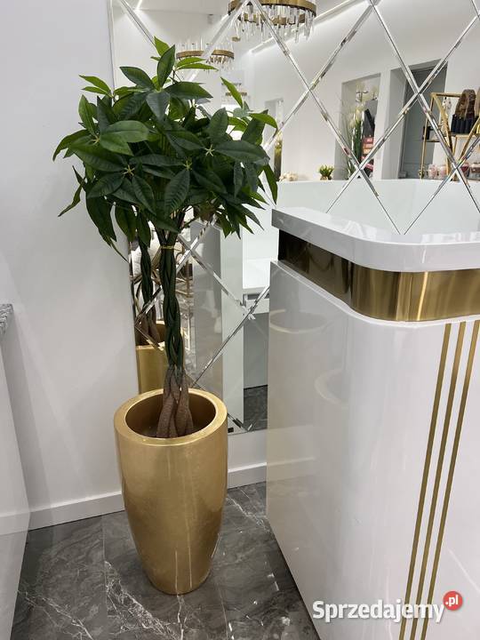 Sztuczne drzewko pachira w doniczce 120 małopolskie Golkowice sprzedam