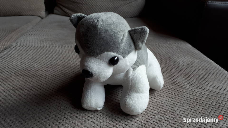 pluszowy piesek małopolskie Kraków