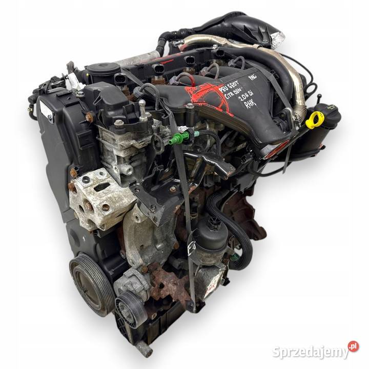 SILNIK RHK Peugeot Expert Citroen Jumpy Fiat Chełm