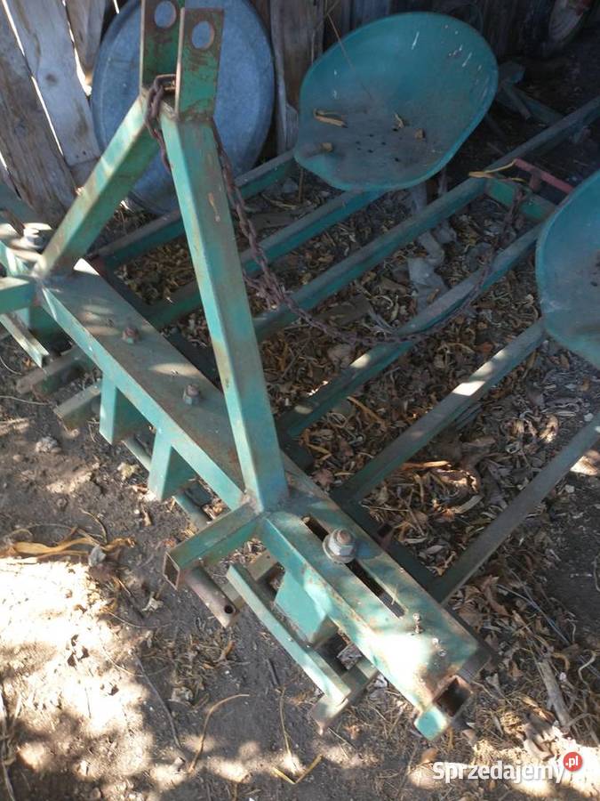 Sadzarka bób cebula czosnek małopolskie Proszowice