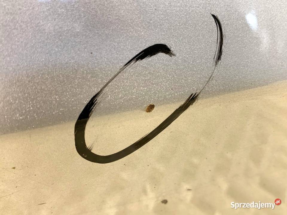 DRZWI LEWY TYŁ AUDI A4 B8 SedanLimuzyna 0715