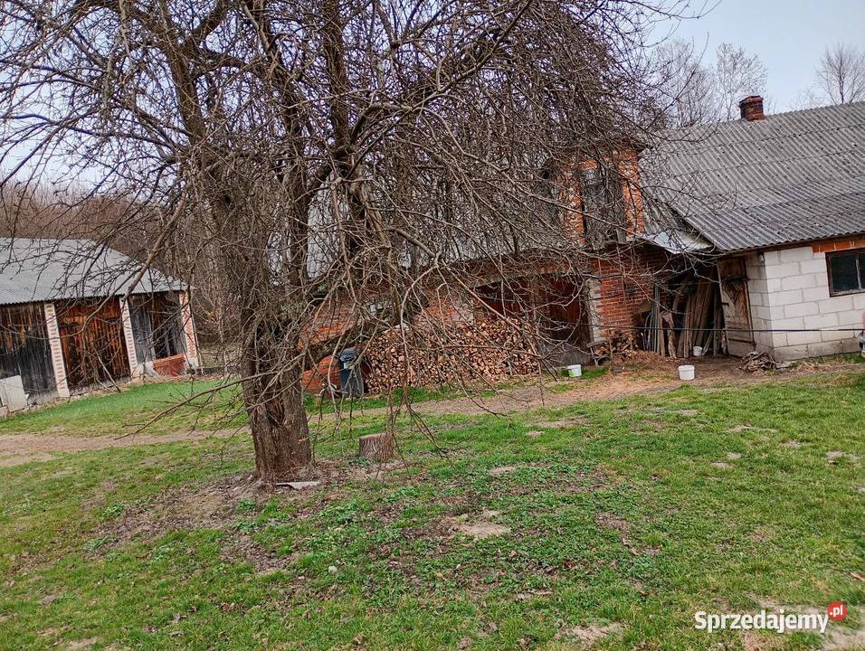 Sprzedam dom drewniany z zabudowaniami 2857zł/m2 lubelskie Biłgoraj