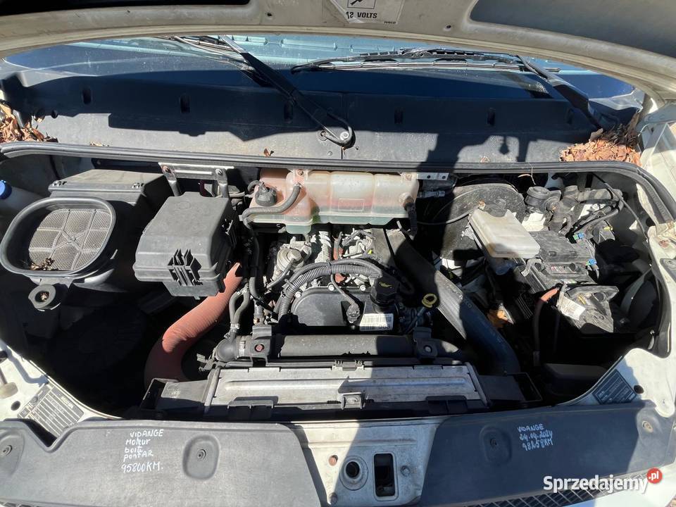 IVECO Daily IV 35C15 30D 146 GF600 Kielce