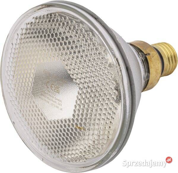 Econ promiennik podczerwieni 100W biały 22242KER małopolskie Kamionna