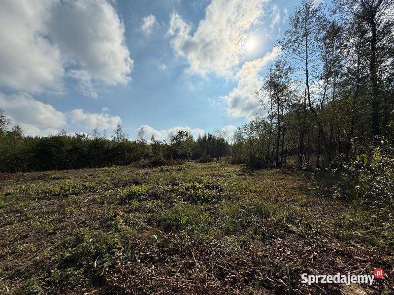 Piękna działka z warunkami zabudowy idealna pod Sprzedaż Szczawin Kościelny