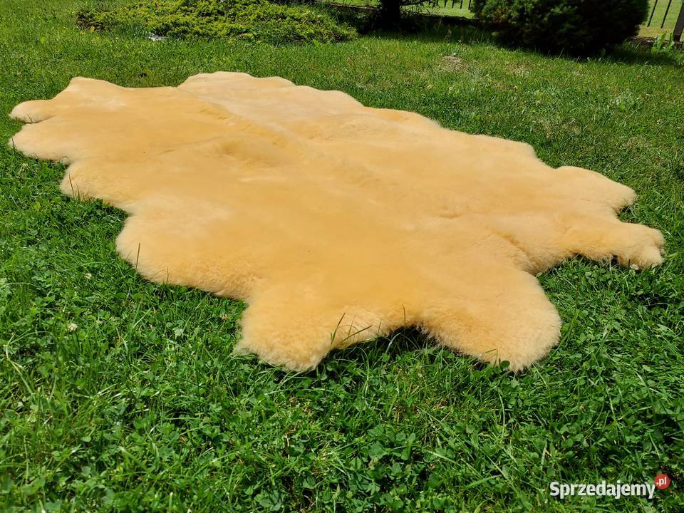 Skóra Owcza Zdrowotna Medyczna Narzuta na Łóżko Szaflary sprzedam