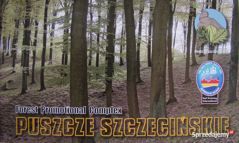 PUSZCZE SZCZECIŃSKIE Mapa Teksty w j ang Limanowa
