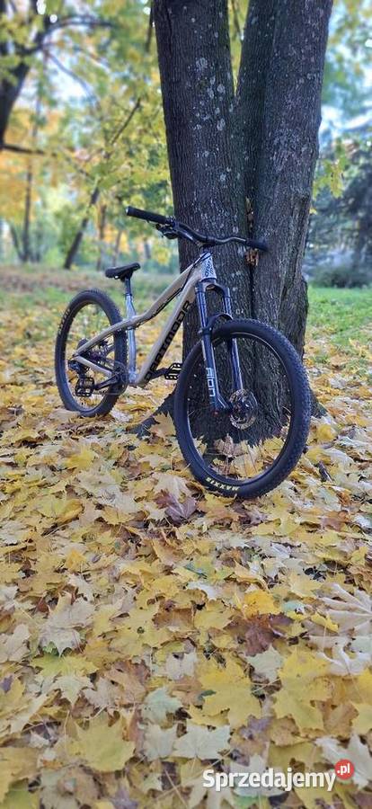 Dartmoot hornet pro Białystok