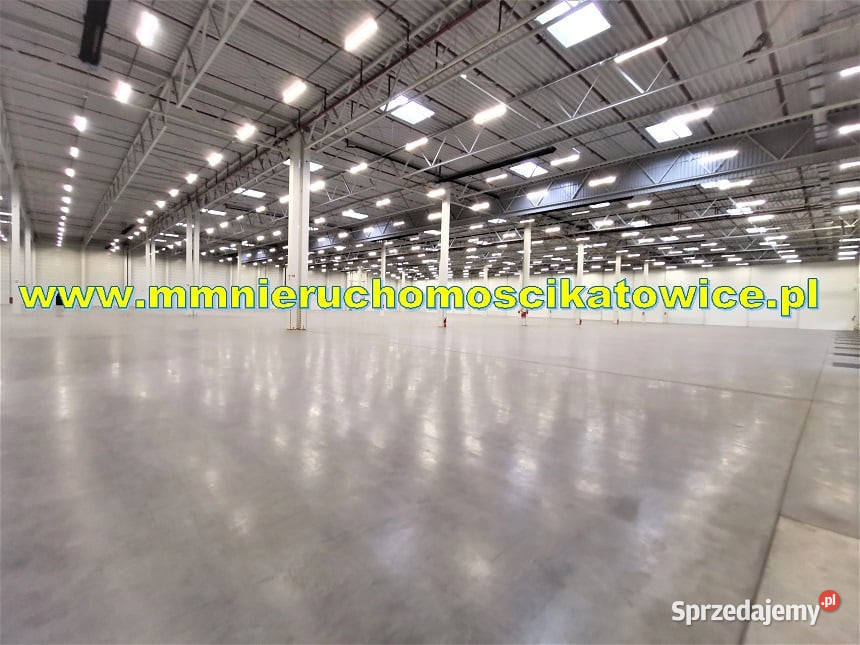 Magazyny do wynajęcia 200 10000 m2 Będzin wysoki parking