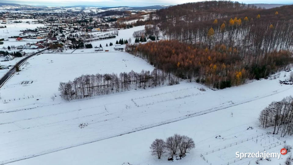 sprzedaży gruntu 1900 metrów Besko asfalt Nieruchomości