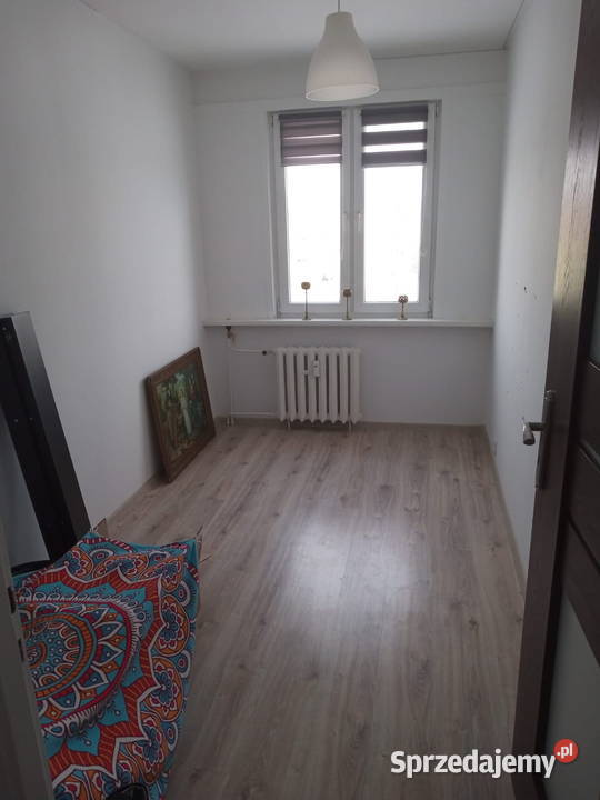 Wynajmę mieszkanie w Wąbrzeźnie Liczba pokoi 2 Wynajem Wąbrzeźno sprzedam