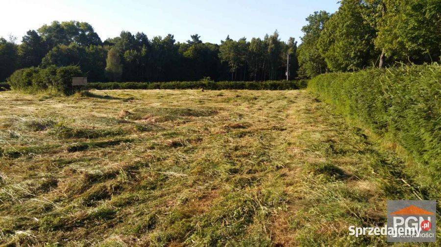 Działka Trzebiatów 22000m2 kanalizacja zachodniopomorskie