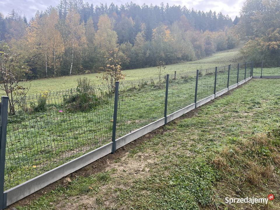 Ogrodzenia Panelowe Montaż Dostawa 45 małopolskie Rożnów sprzedam