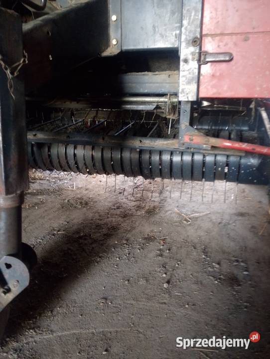 Sprzedam Riviera 126L Rolujące (belujące) Lubcza