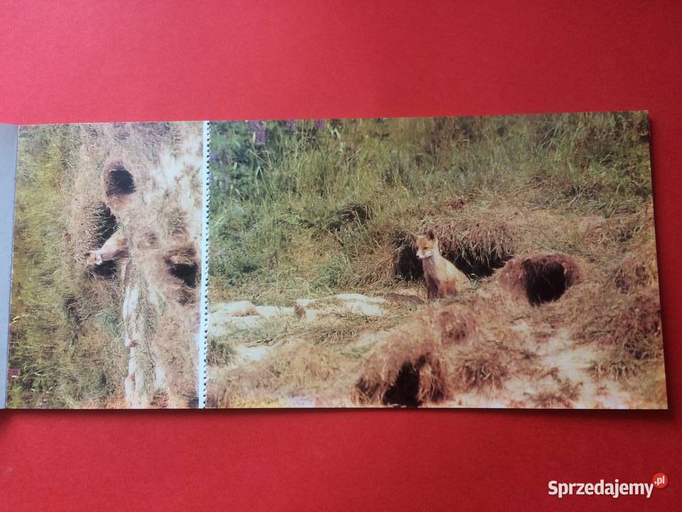 490 6 Widokówek Parków Krajobrazowych Szczecin