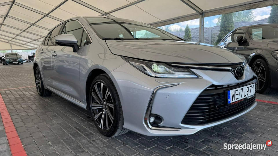 Toyota Corolla Toyota Corolla E21 2019