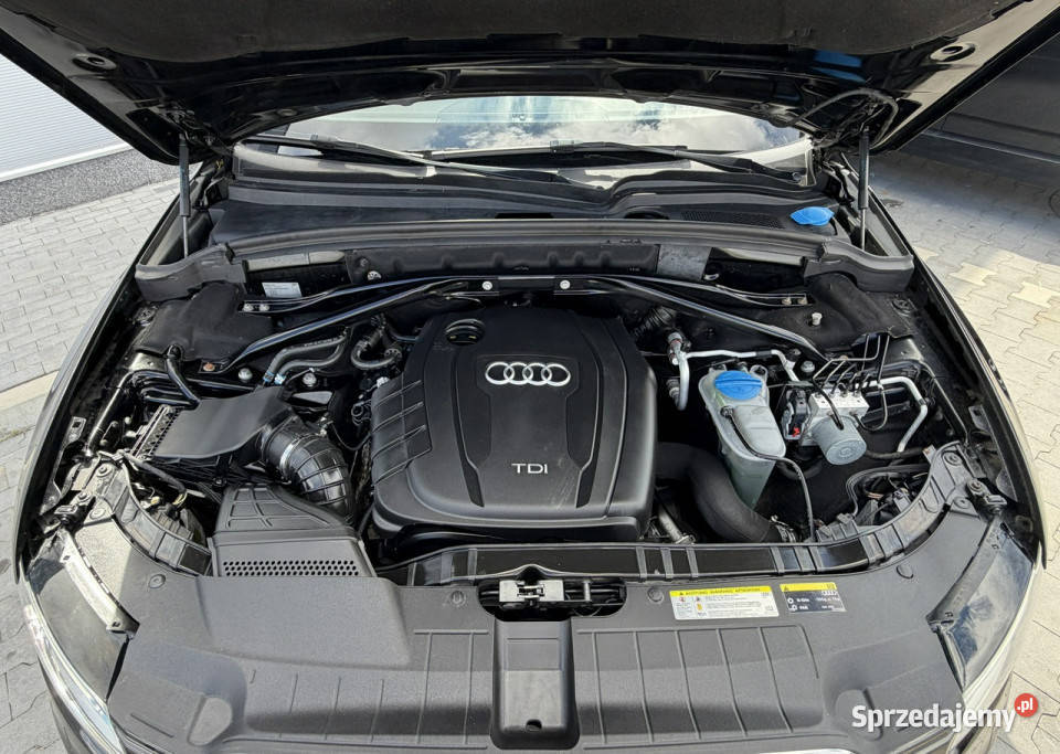 Audi Q5 20 TDI 177 SLINE QUATTRO Led Automat elektryczne lusterka warmińsko-mazurskie Mrągowo